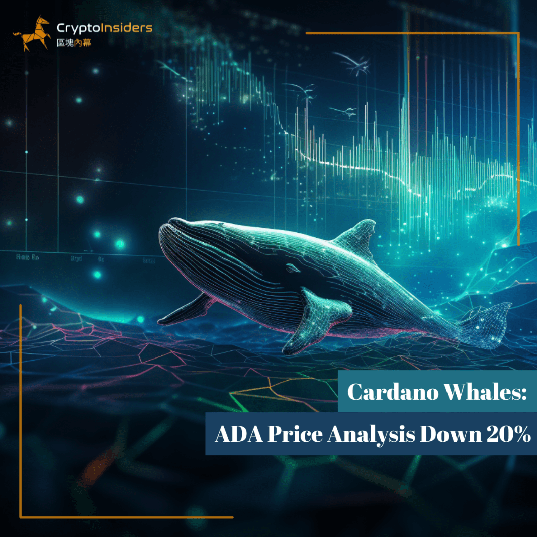 Cardano-Whales-ADA-Price-Analysis-Down-20-Crypto-Insiders-Hong-Kong-Blockchain-News